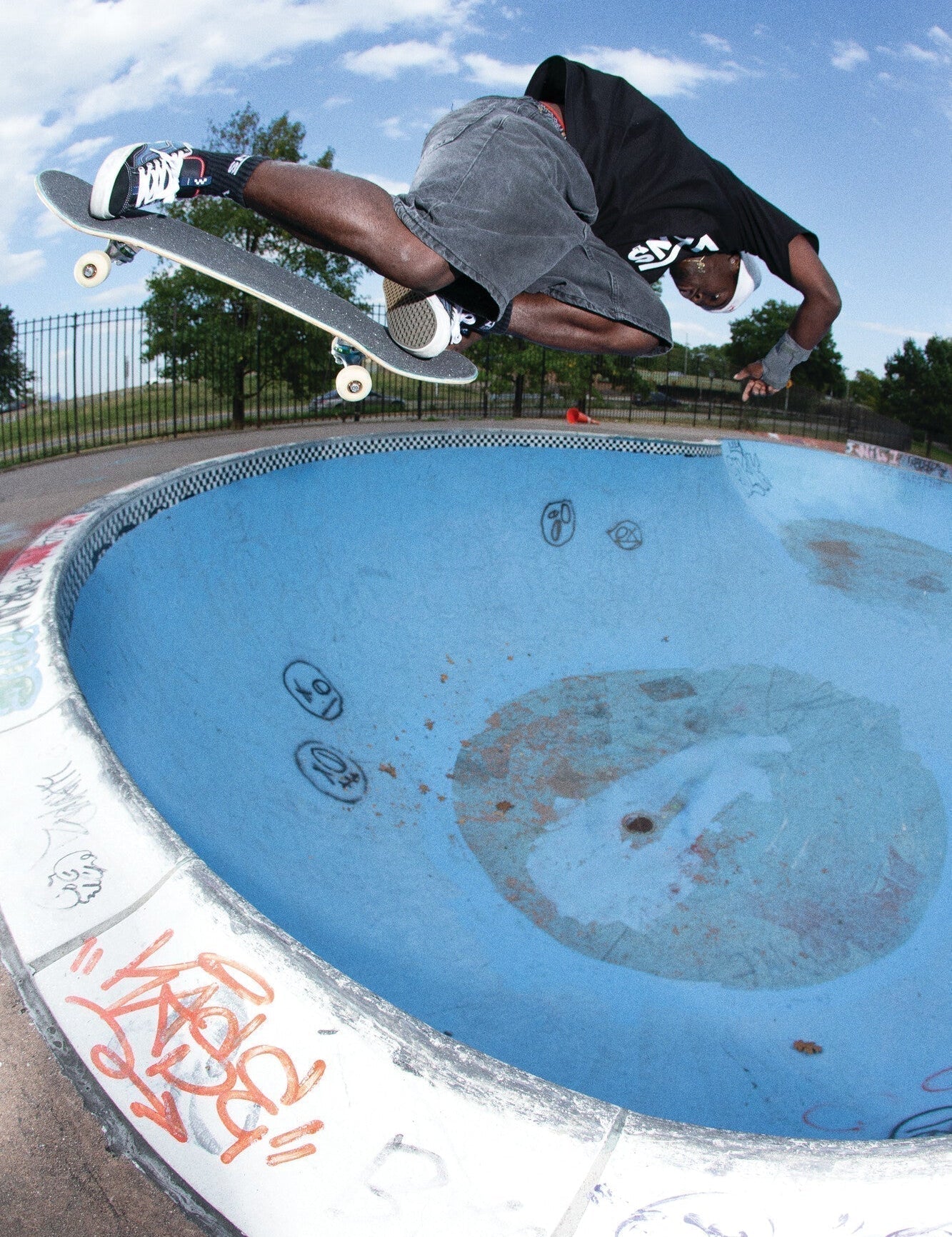 Palm Isle Products of the Week: Boxing Day Edition