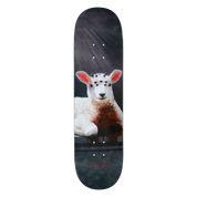 Jerry Hsu Lamb Deck - 8.25"