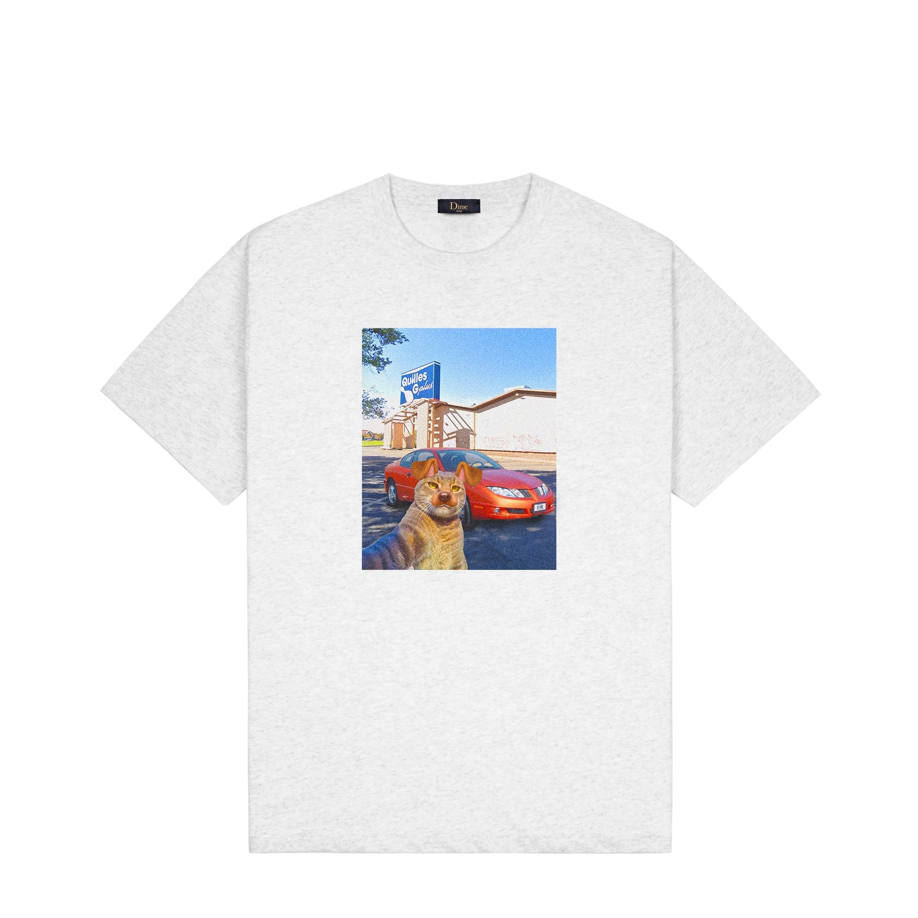 Dime Selfie T-Shirt - Ash – Palm Isle Skateshop