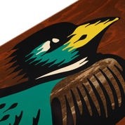 Fast Duck Softie Deck - 8.6"