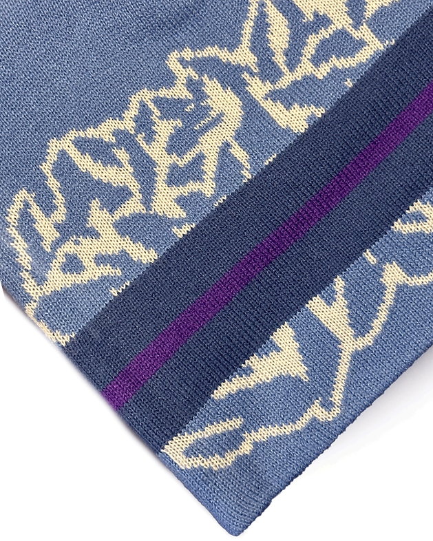 Striped Logo Beanie - Blue