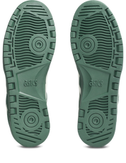 Japan Pro - Forest Night/Cream