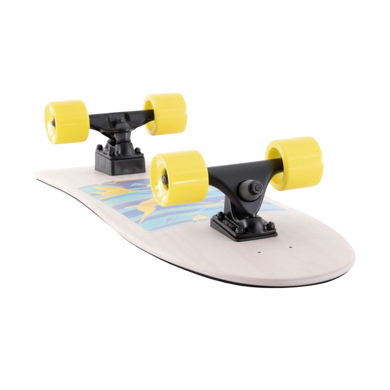 Surf Life – Birds