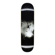 Spider Photo - 8.25"