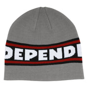 Bar Logo Skull Beanie - Grey