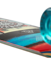 Ledger Fiesta Longboard Complete