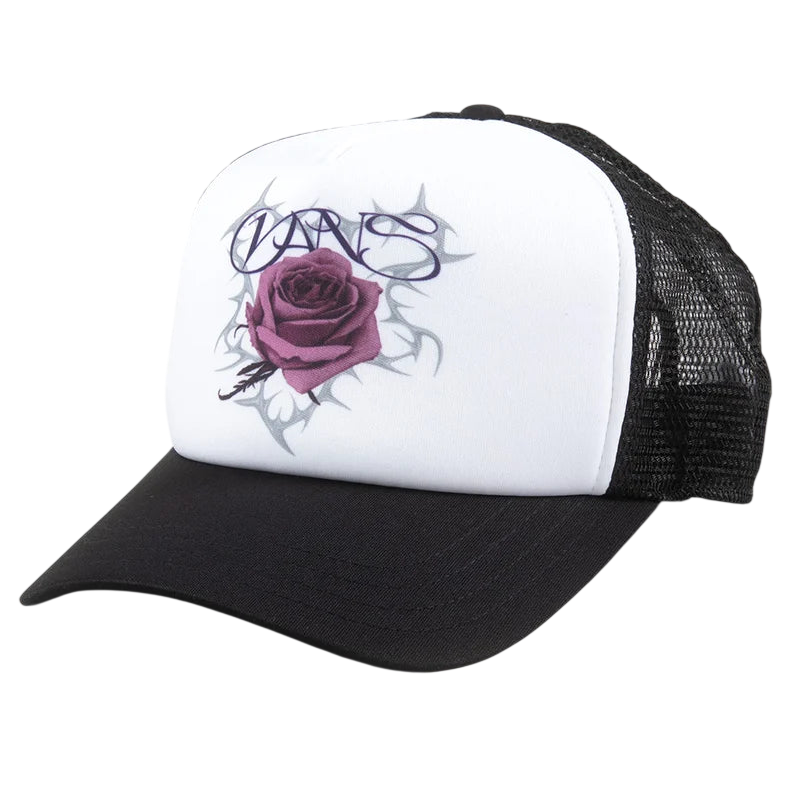 527486168.webp-Photoroom.png