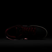 Dunk Low Pro x Riot Skateshop - Mahogany/Dark Beetroot/Team Red