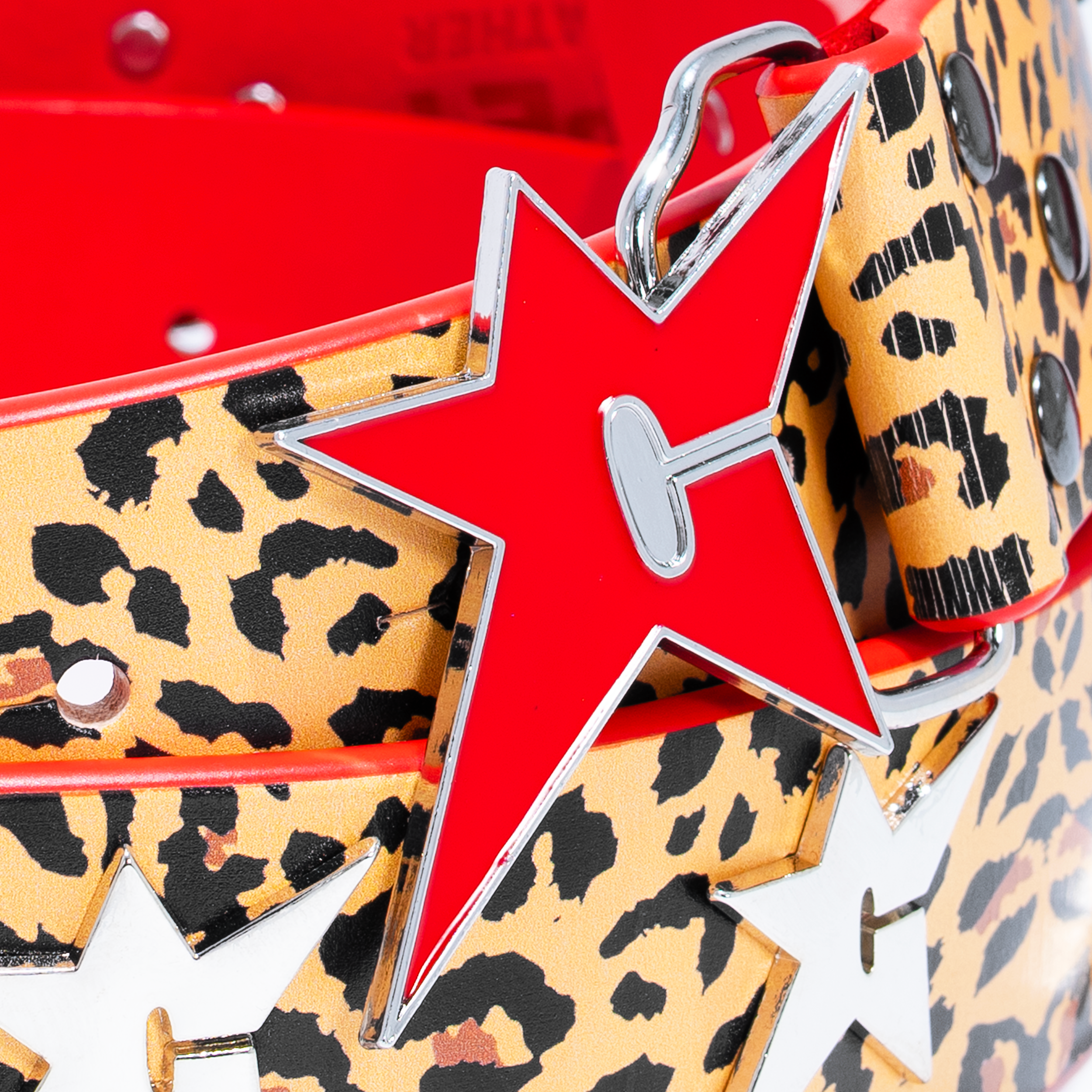 Belt_Cheetah_2.png