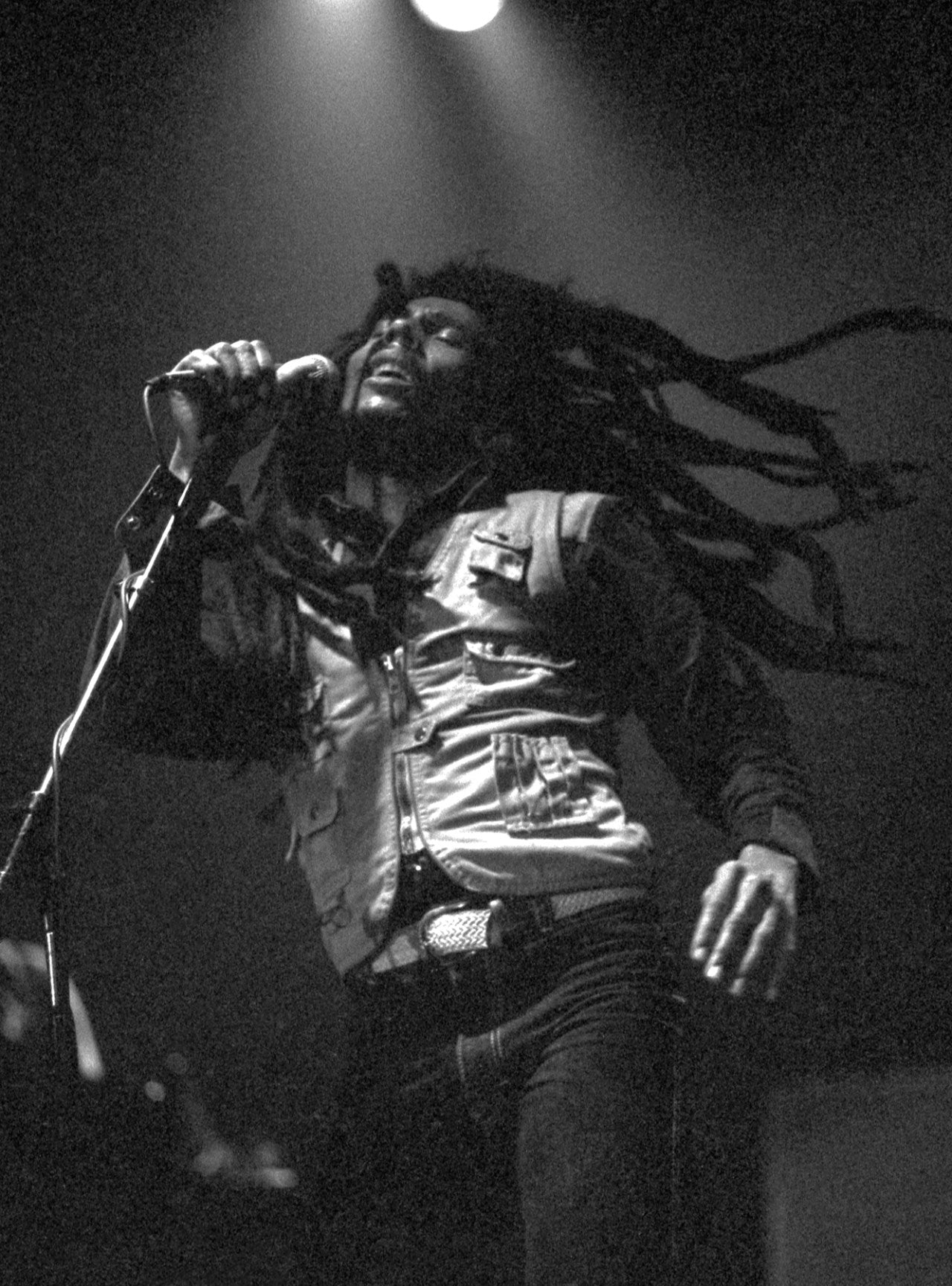 Bob Marley: Portrait Of The Legend By Ziggy Marley