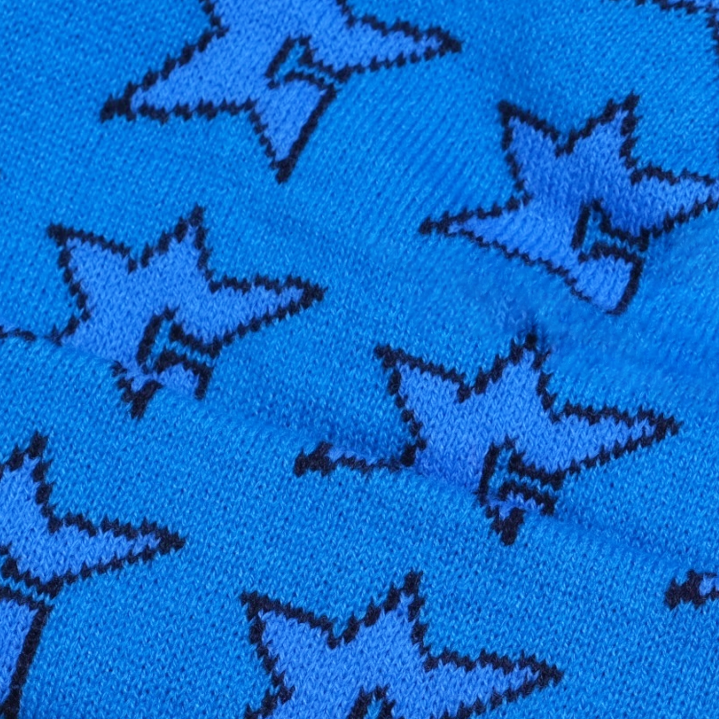 C-Star_Beanie_Blue_2.png