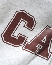 Campus Zip-Thru Hood - Ash