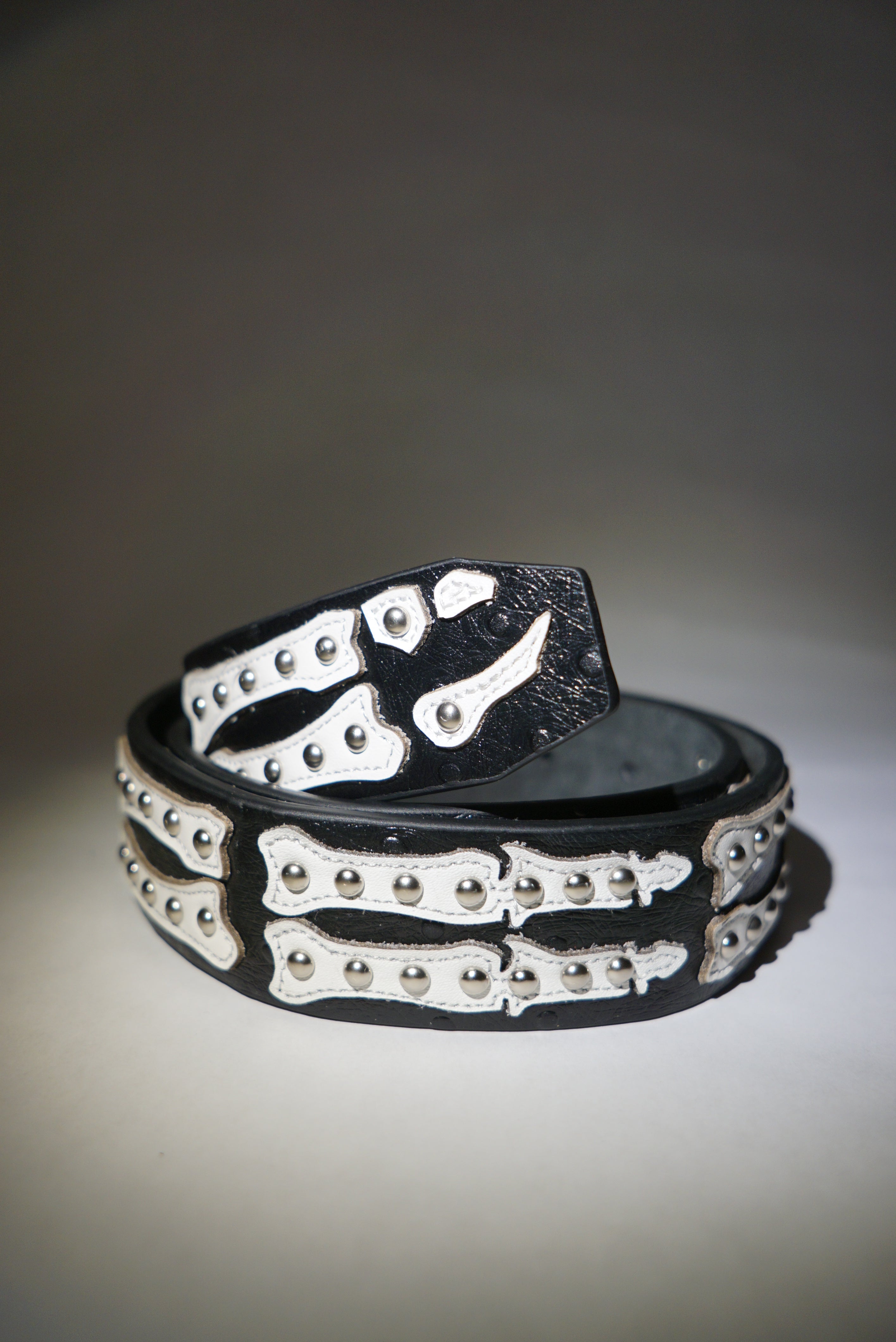 Stingwater Studded Bone Belt - Black