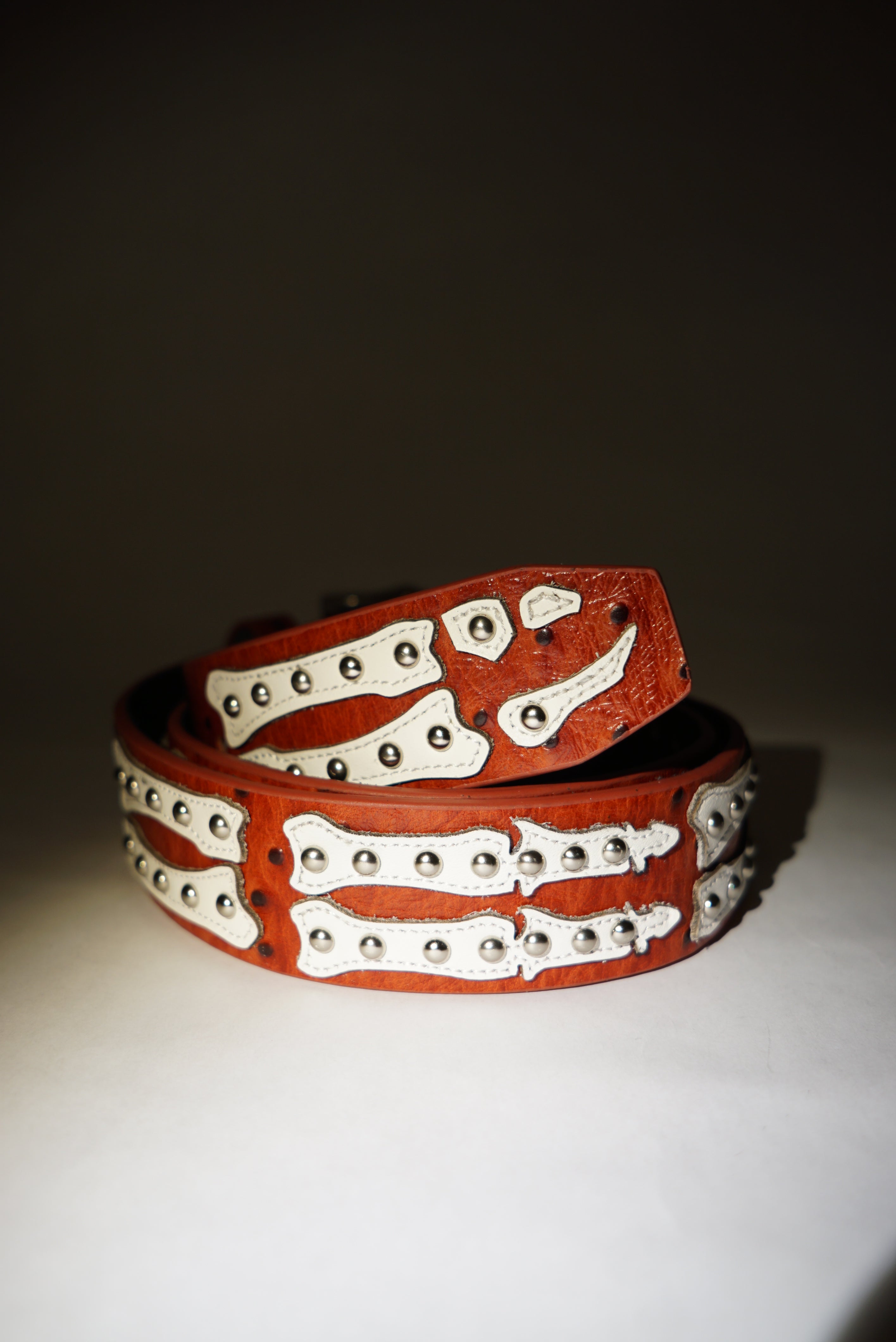 Stingwater Studded Bone Belt - Deep Red