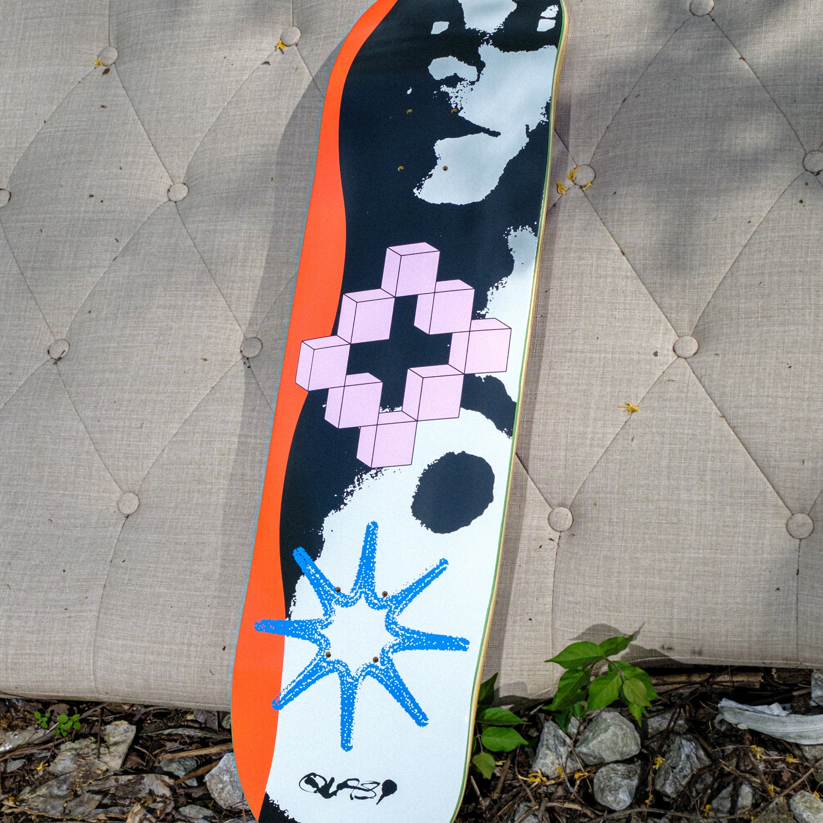 DSCF9884.jpg