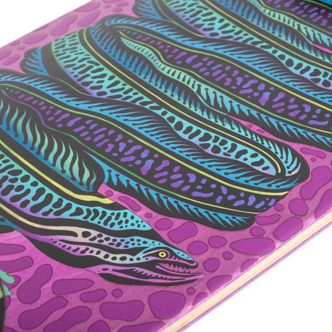 Dinghy Classic Fender – Moray Eel