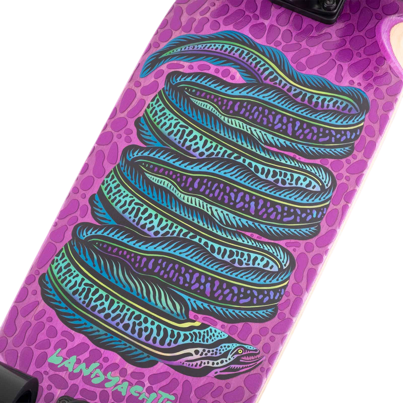Dinghy Classic Fender – Moray Eel