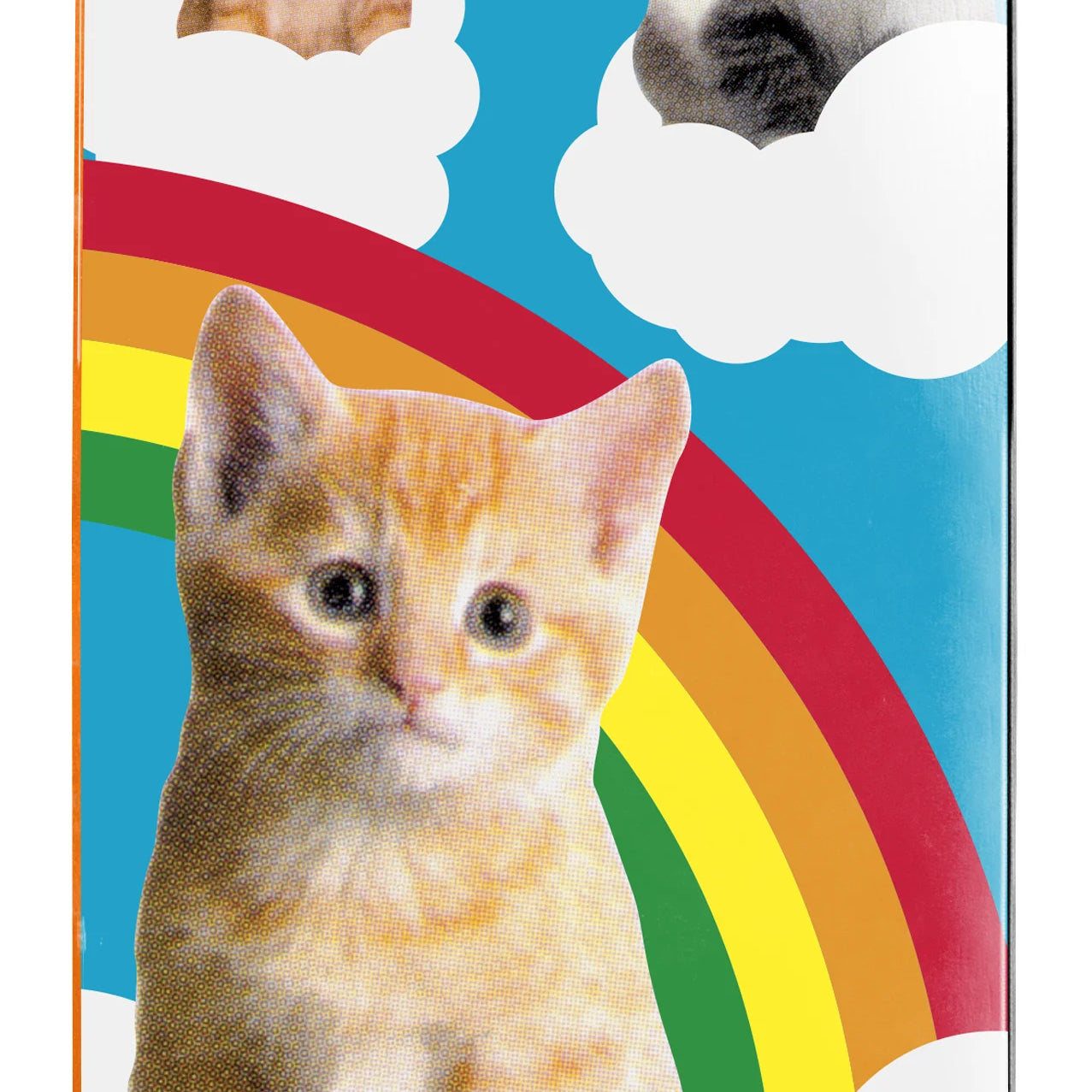 ENJ515003_Kitten_Dreams_FP_Complete_Multi_1_825cecff-778b-40ba-bf1b-c01a2190520e.webp