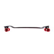 Evo 40 – Bear