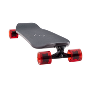 Evo 40 – Bear
