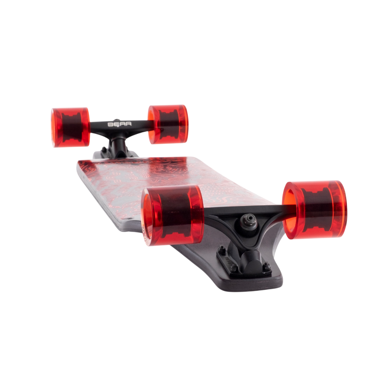 Evo 40 – Bear