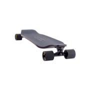 Evo 40 – Bear