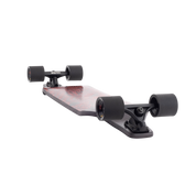 Evo 40 – Bear