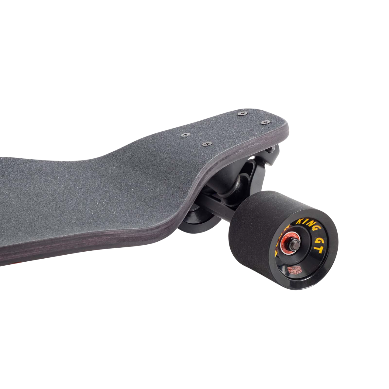 Evo 40 – Bear