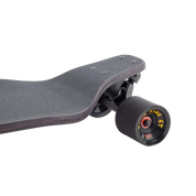Evo 40 – Bear
