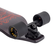 Evo 40 – Bear