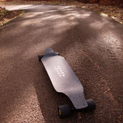 Evo 40 – Bear