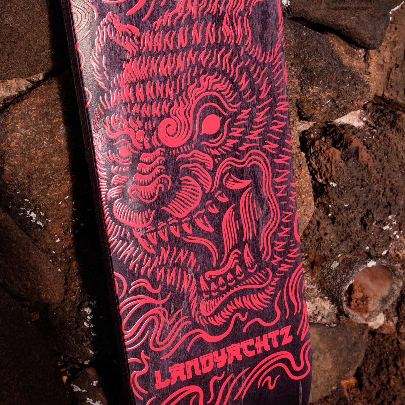 Evo 40 – Bear