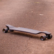 Evo 40 – Bear