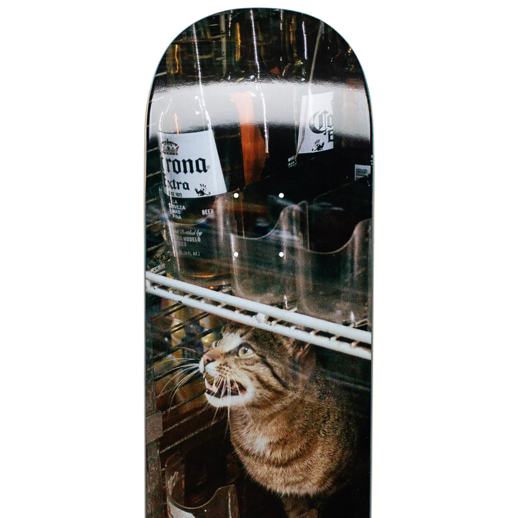 GXBodegaCat1_webp.jpg