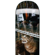 Bodega Cat Deck