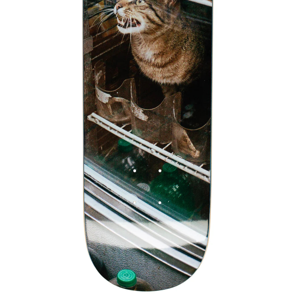 Bodega Cat Deck