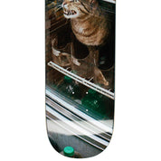 Bodega Cat Deck