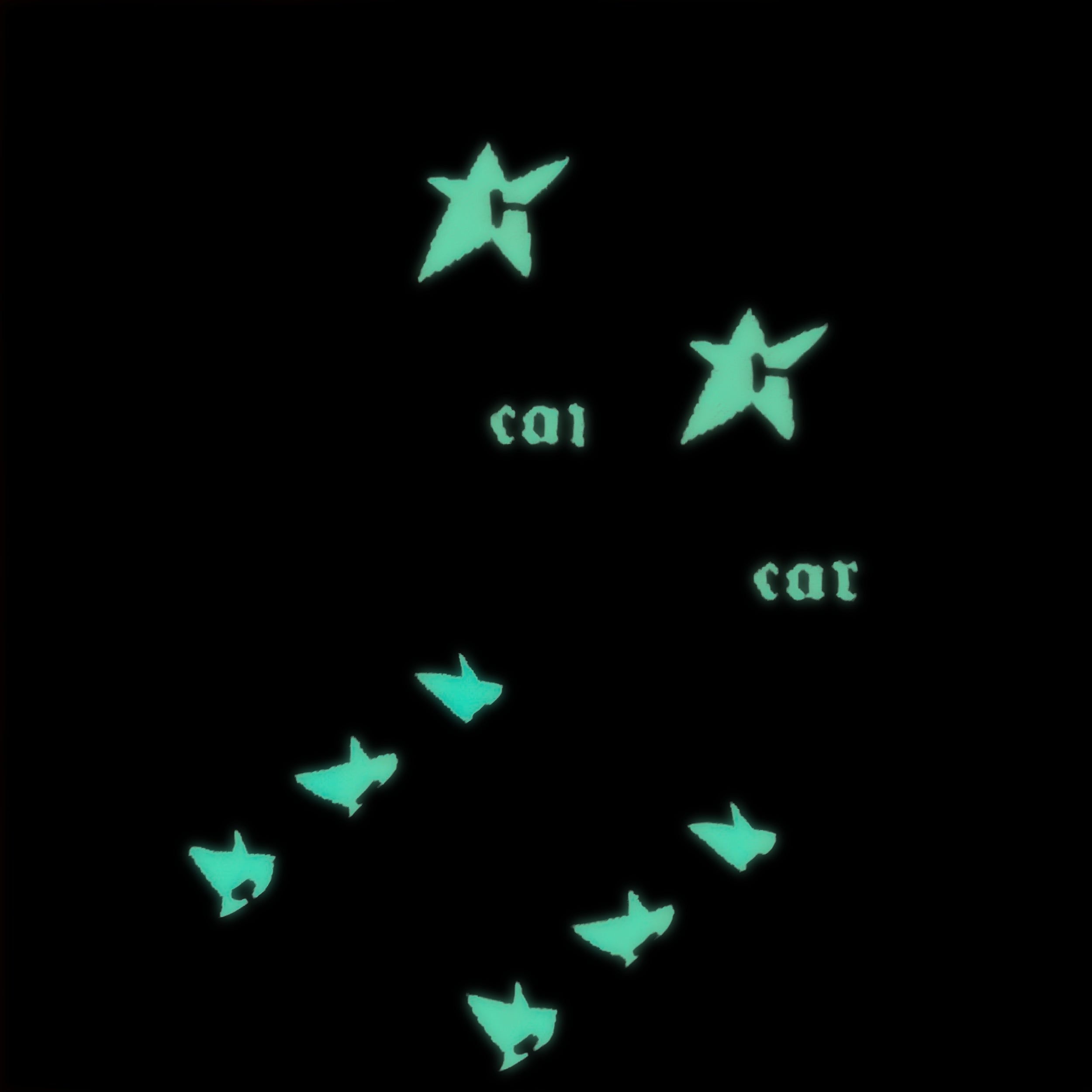 Chaussettes C-Star Phosphorescentes - Noir