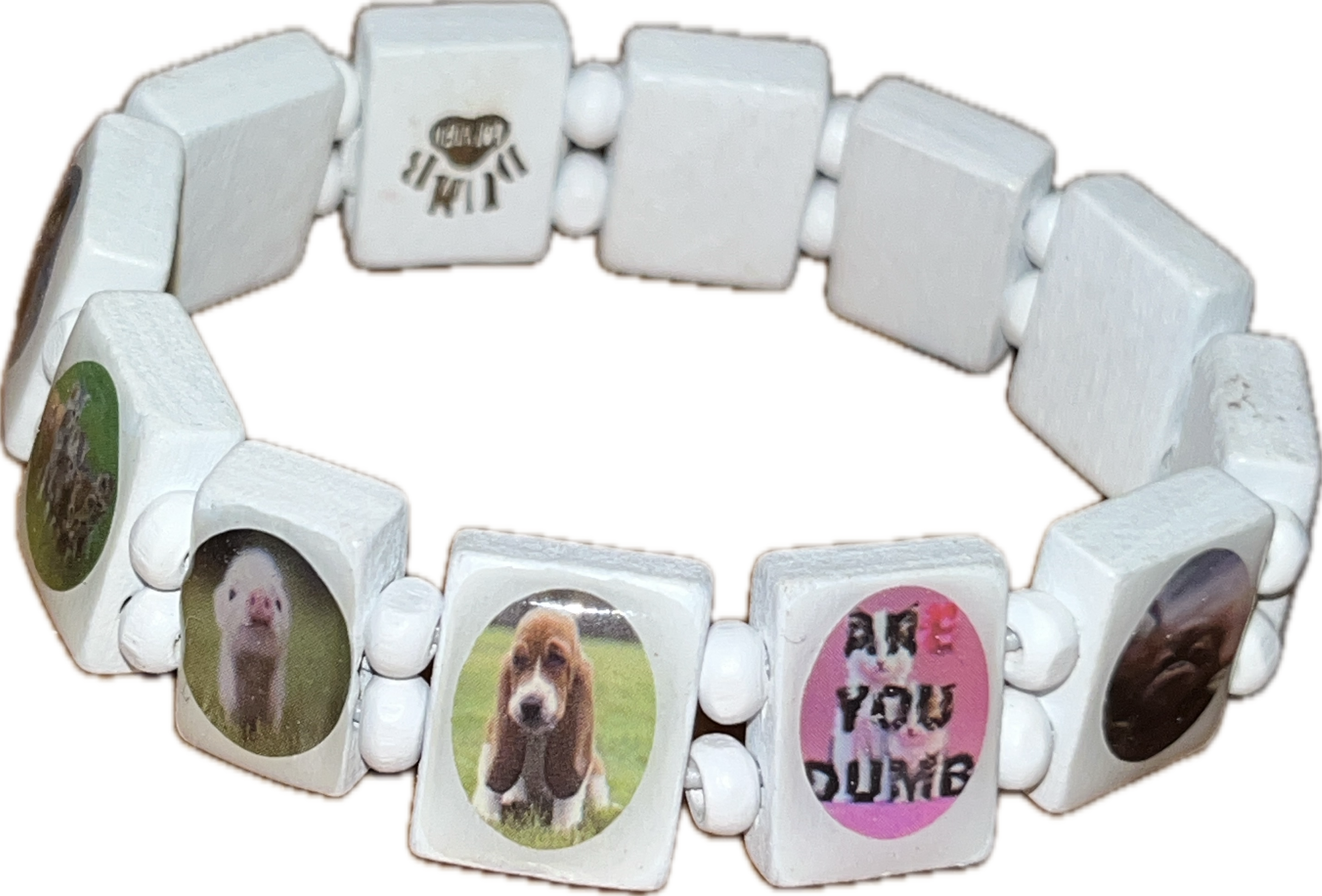 IMG_3336.png