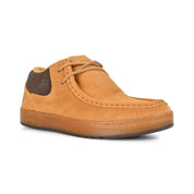 Cats - Wheat Suede