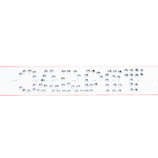 Riveted Leather Belt - White