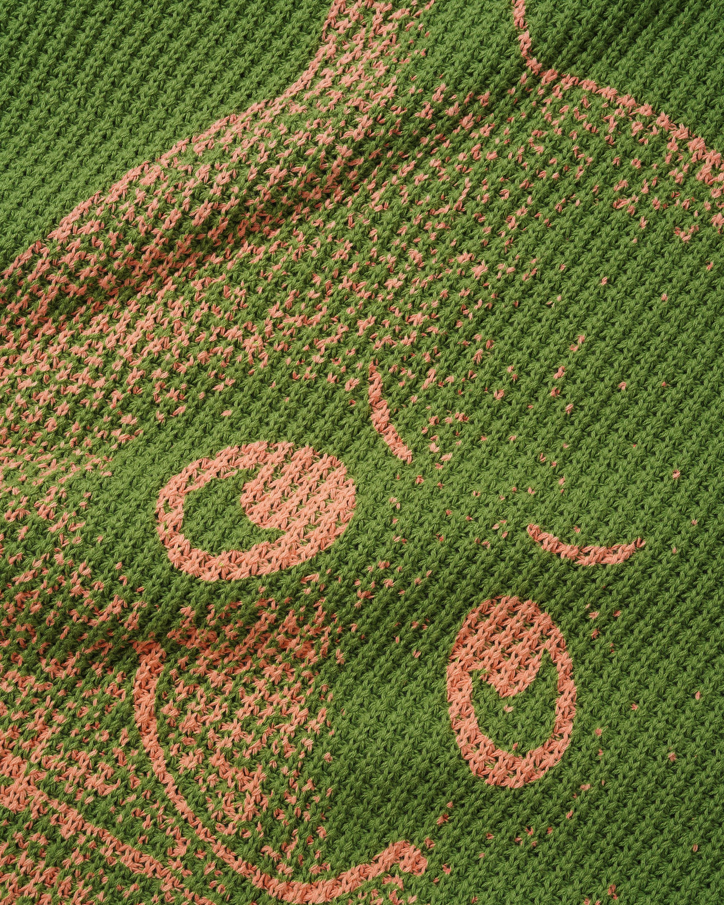 Newcomer Reversible Knit Sweater - Grass