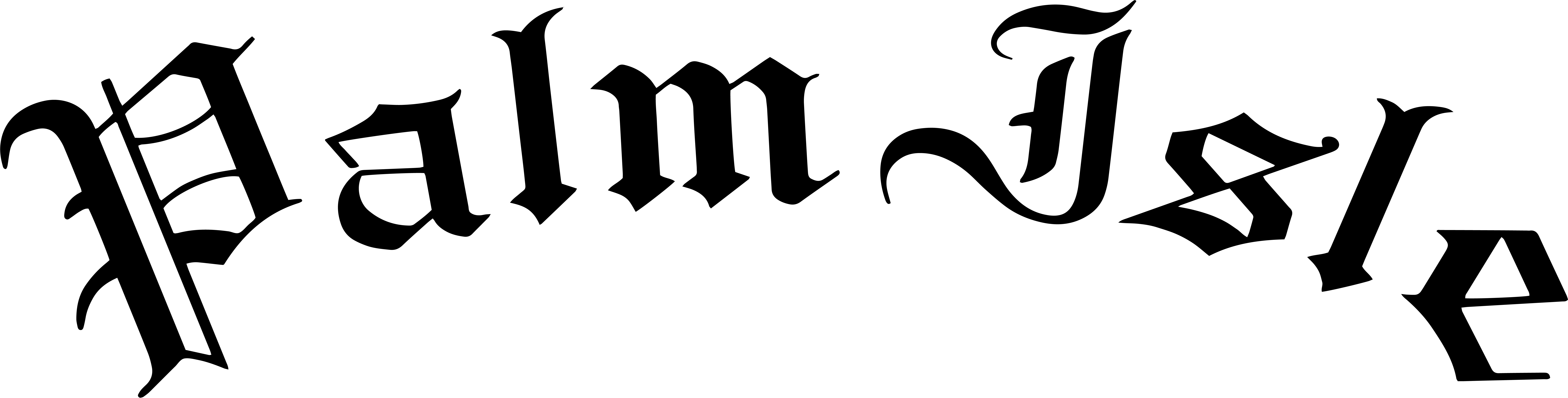 Palm Isle Skateshop logo