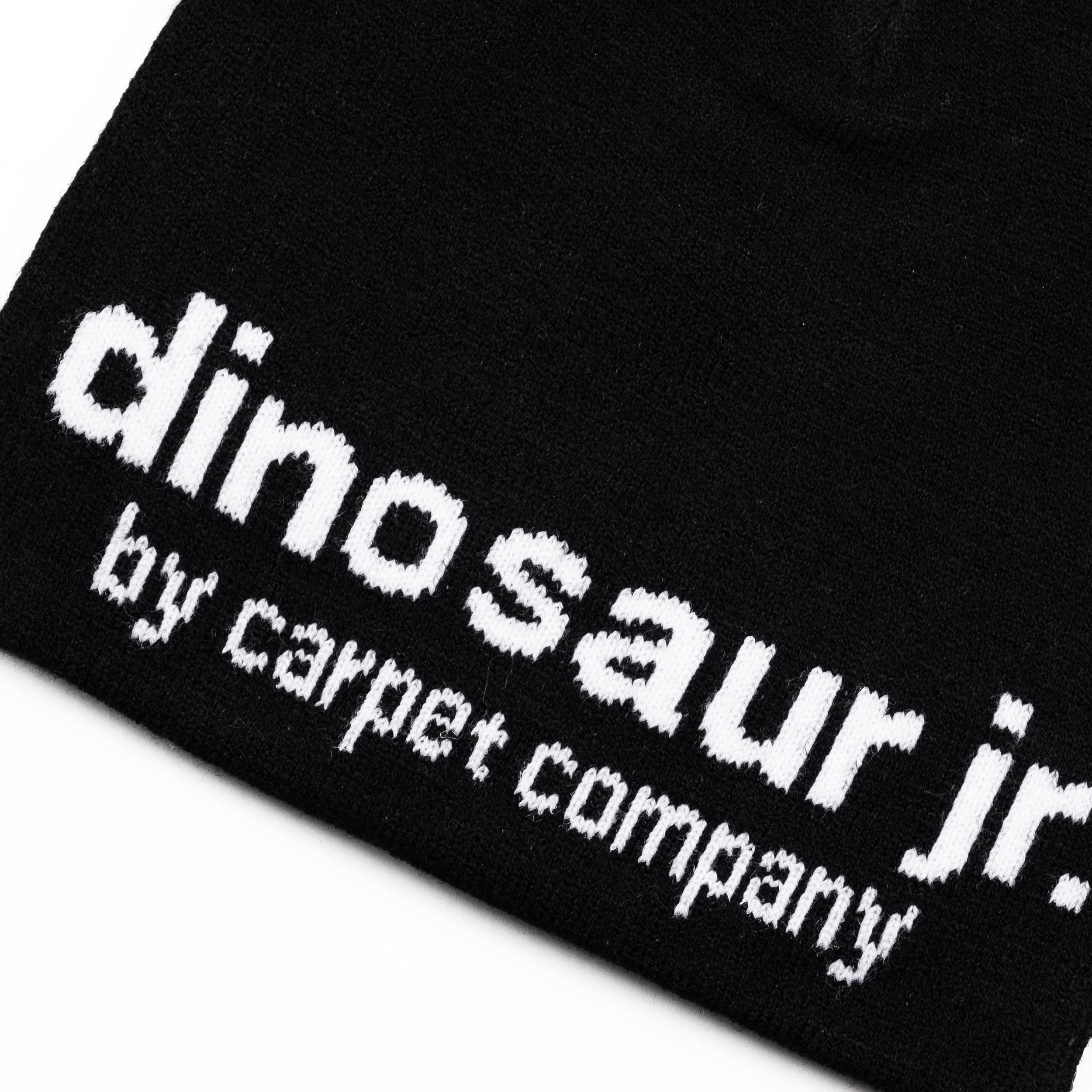 Tuque Dinosaur Jr. - Noir