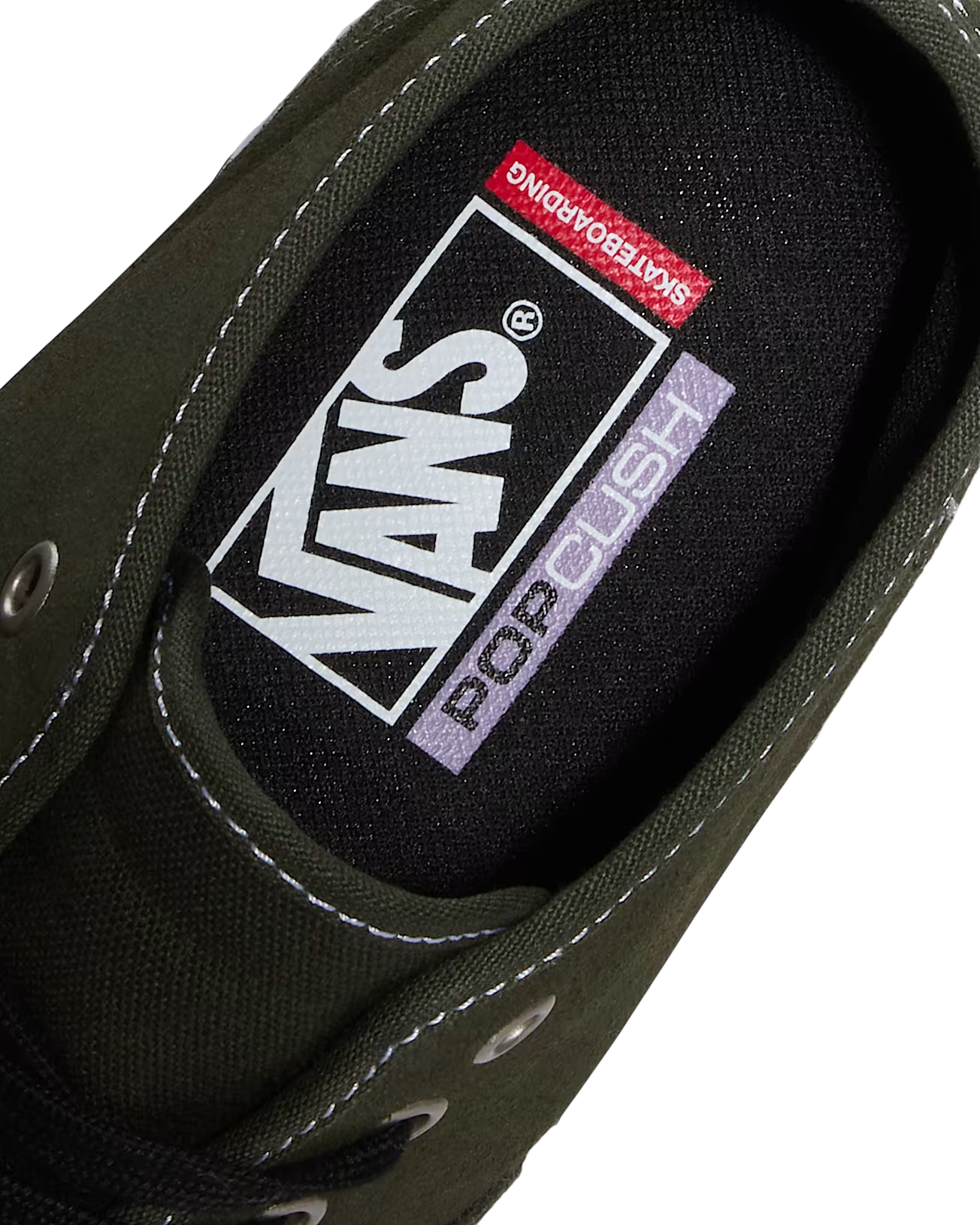 Skate Authentic Mid - Obsidian Fern