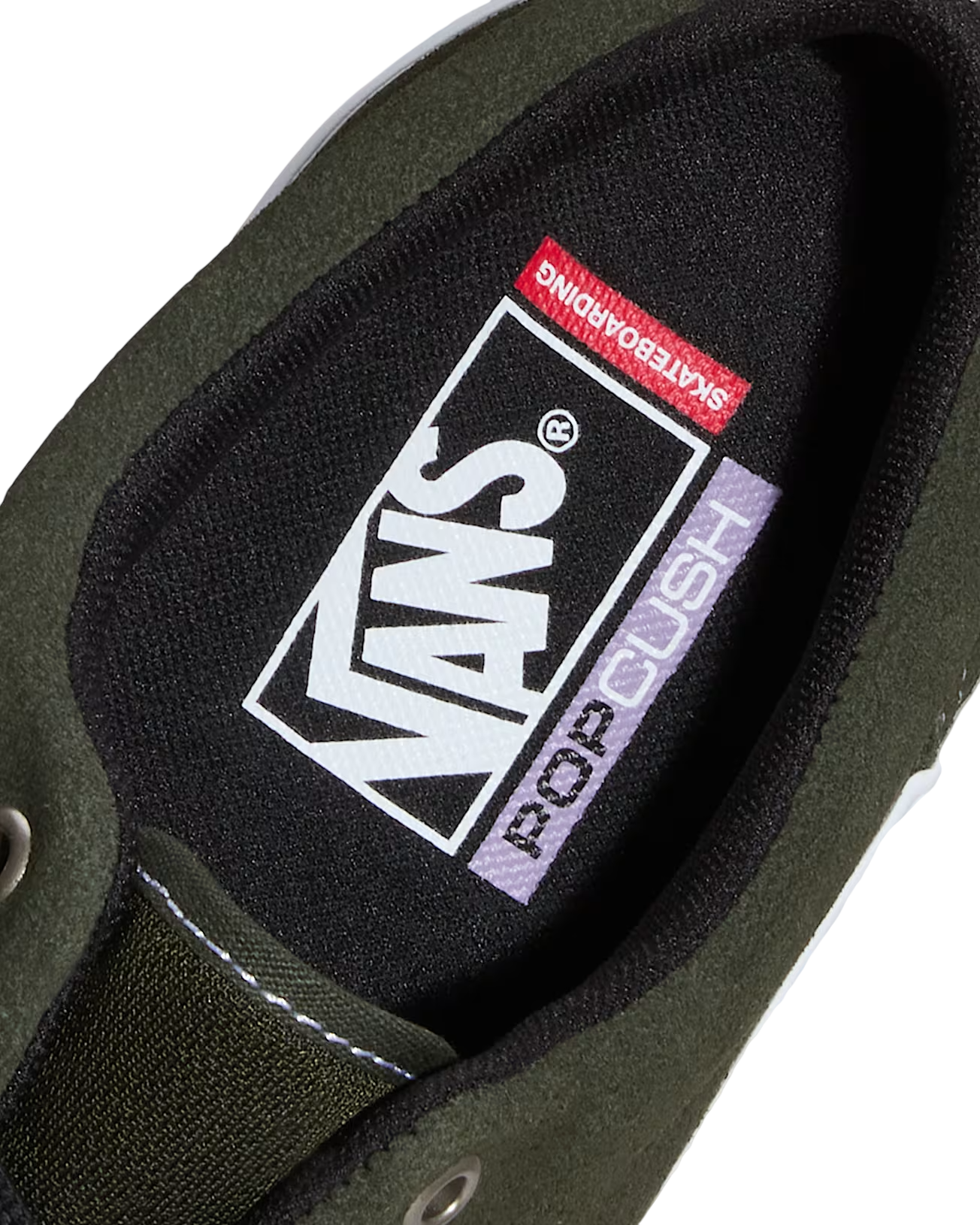 Skate Era - Obsidian Fern
