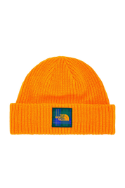 Salty Dog Beanie - Cone orange/Ponderosa Green Medium Icon Plaid 2