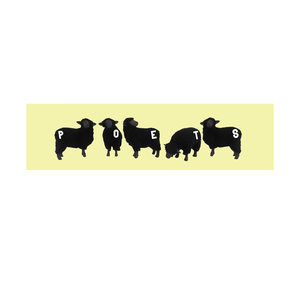 blacksheepthumb.png