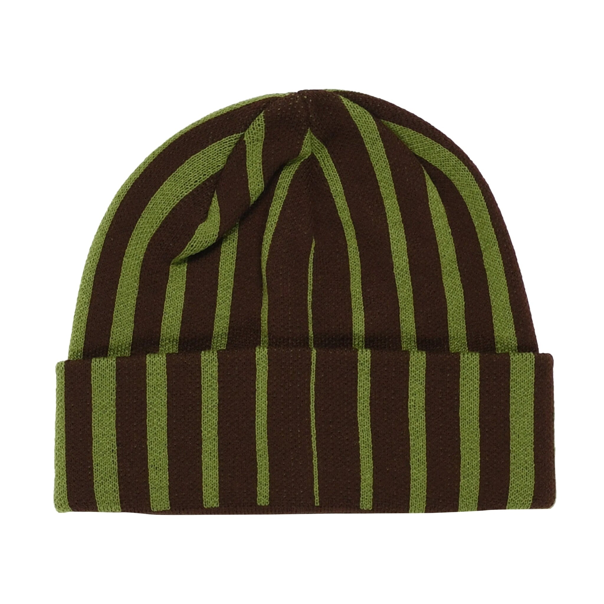 Quasi Blender Beanie - Iguana – Palm Isle Skateshop