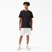 Short de charpentier en toile délavée 9" - Stonewashed Cloud (S2C) 